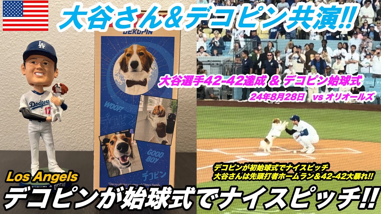 【MLB】大谷さん&デコピン 圧巻の42-42達成&デコピン初始球式 24年8月28日 vs オリオールズ
