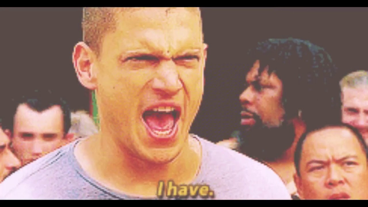 🌸 The Story about Michael Scofield and Sara Tancredi 🌸