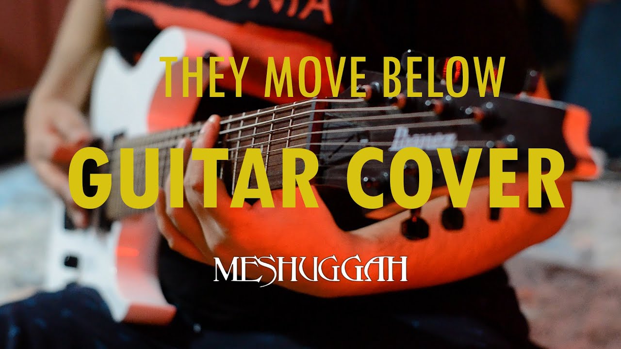 | MESHUGGAH | IMMUTABLE |  THEY MOVE BELOW | (Guitar Cover)   #meshuggah #theymovebelow #immutable