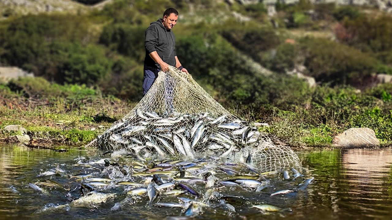 Pescuit Sălbatic Și Gătit La Râu În Pădure