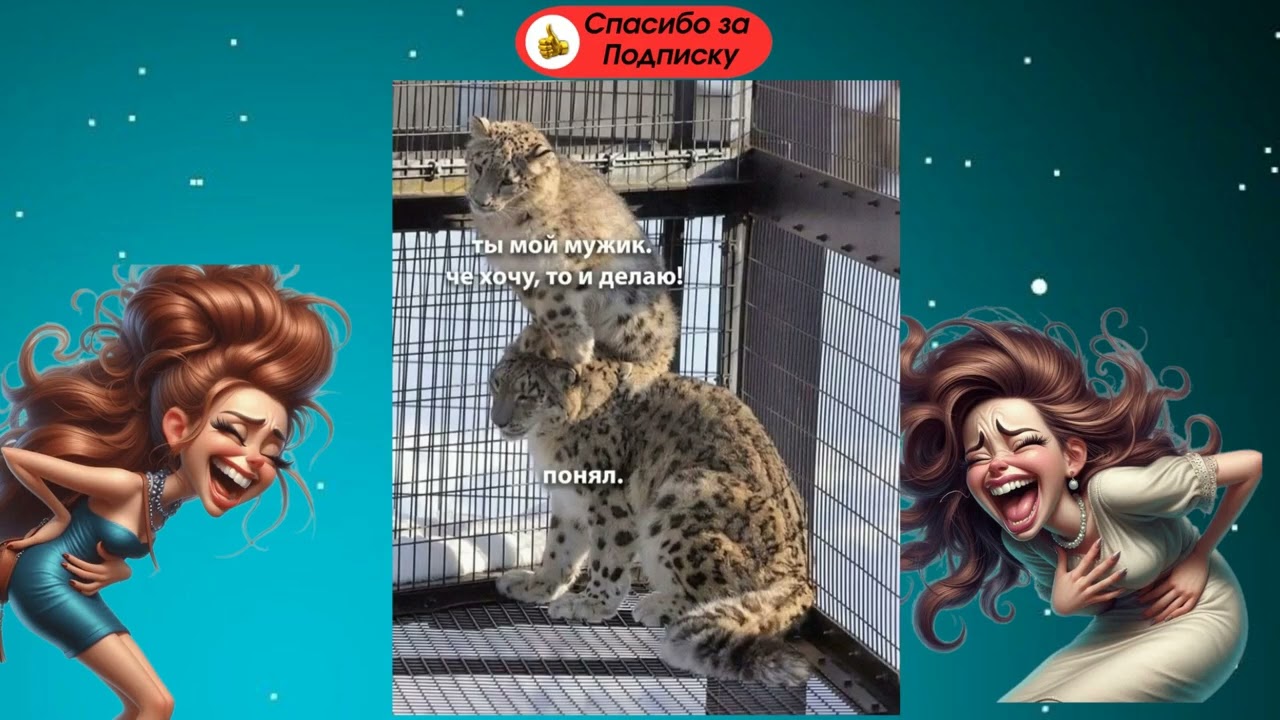 Мемы про кошек. #юмор #шуточное #мем #смешнойшортс #смех #шортс #кошки #приколы#прикол#funny#shorts