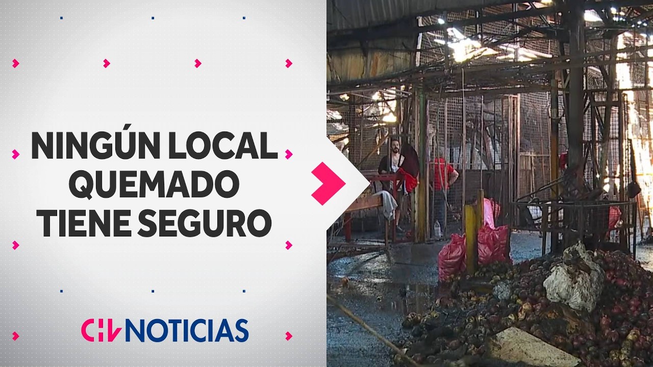56 locales afectados tras incendio en La Vega Central: Ninguno contaba con seguro - CHV Noticias