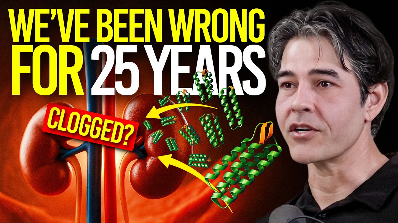 Kidney Scientist Reveals How High Protein Affects the Human Body (kidneys & other organs)