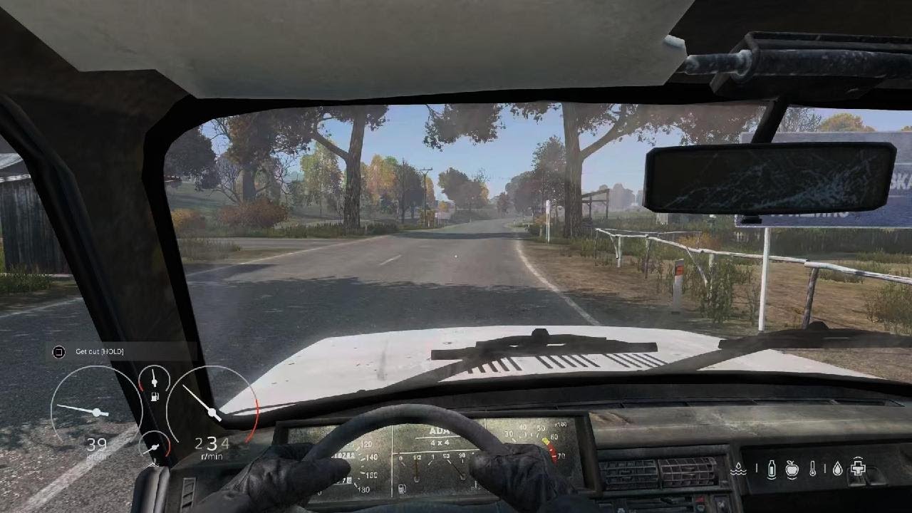 DayZ_20260210232758
