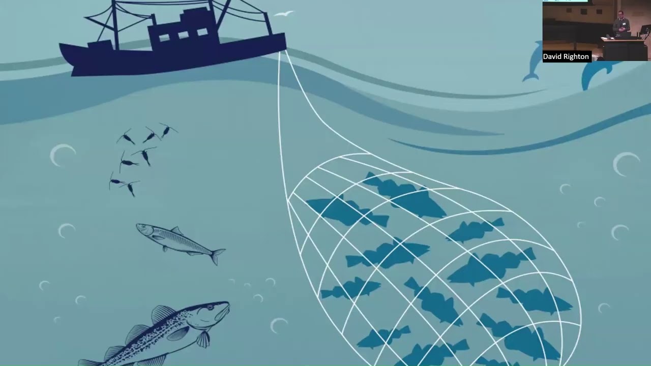 14. David Righton – Cefas: Evidence to support nature recovery in the marine environment