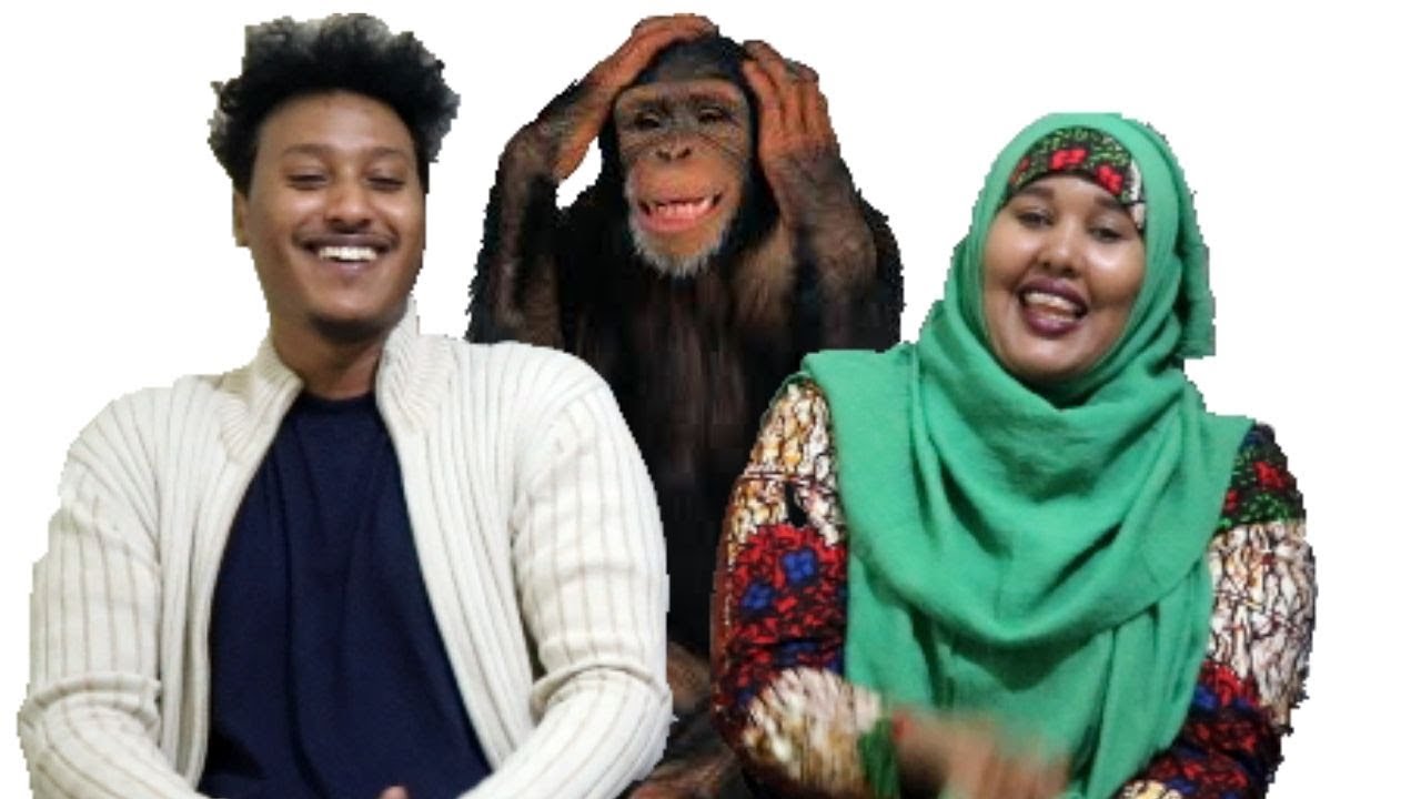 Video Dad Badan Soo Jitay Qosolka Addunka Daawo
