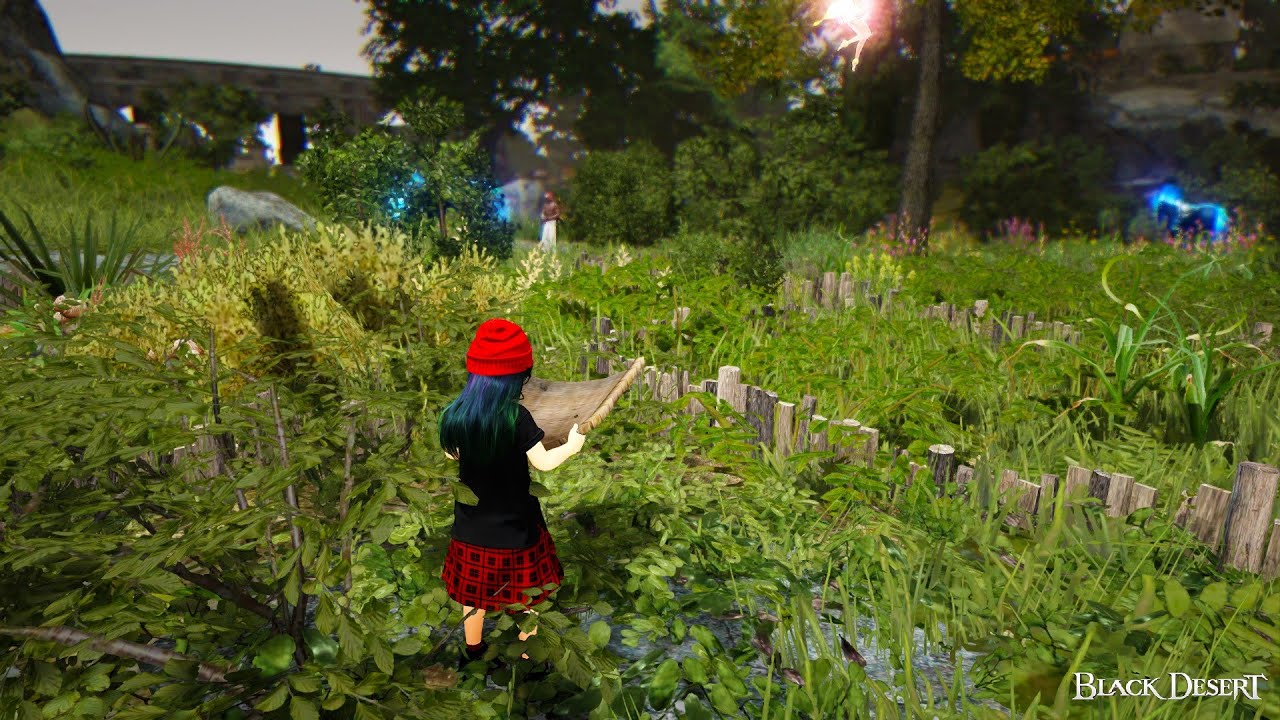 Processing Guide: Olvia’s Academy Training Course Part 2 (2026) | Black Desert Online
