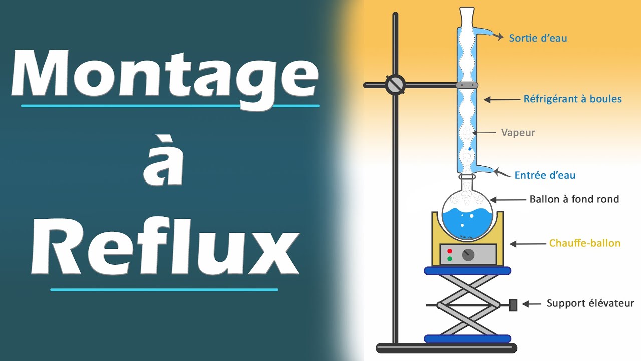 Montage à REFLUX - Principe et Explication | Chimie | Lycée