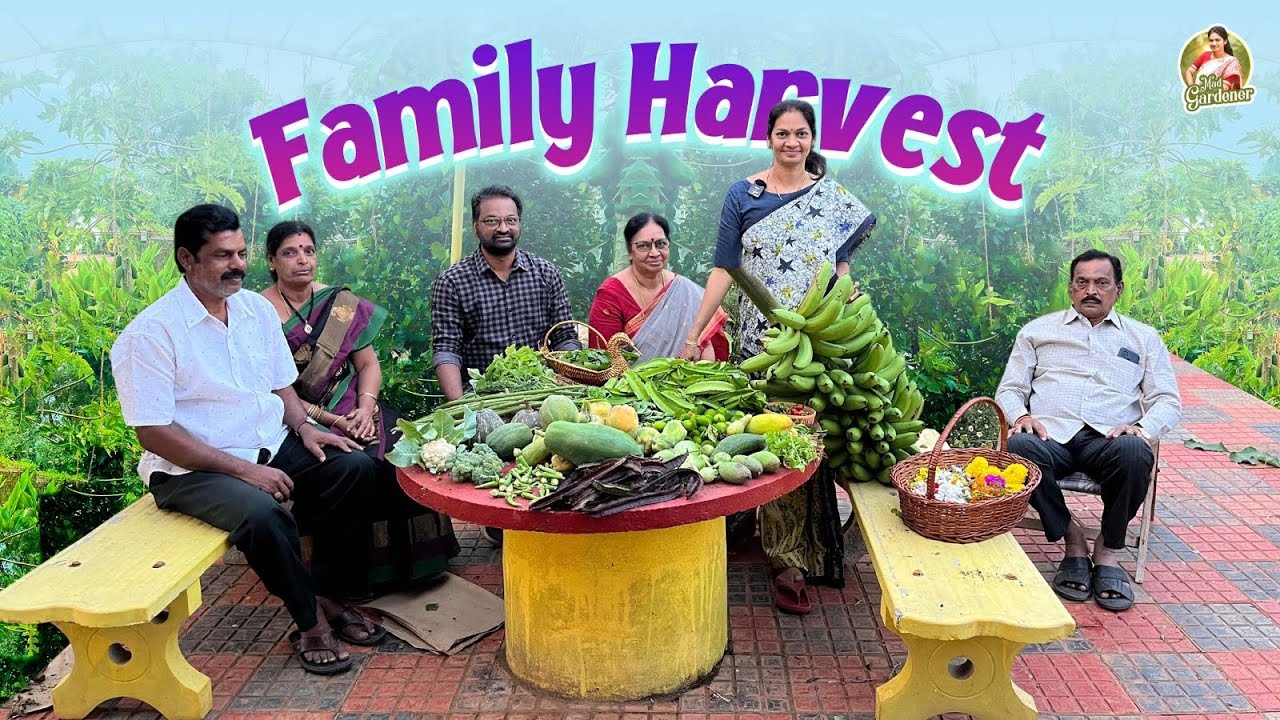 ఇదే మా ఫామిలీ /ఇవాళ హార్వెస్ట్ నాకు చాల స్పెషల్ / Family Harvest @MADGARDENER