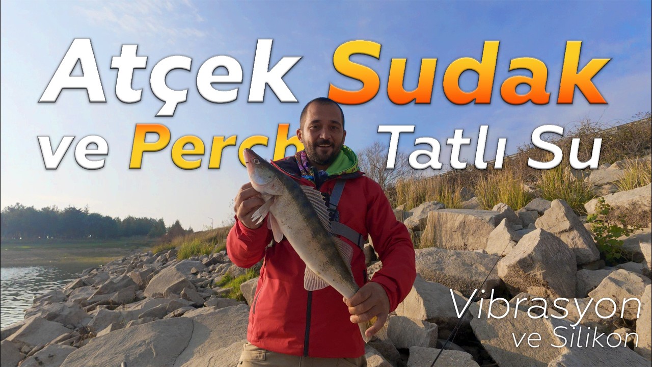 Tatlı Su Atçek Sudak ve Perch avı / Tatlı su levreği avı / Keşan / Edirne / İpsala / #keşfet #atçek