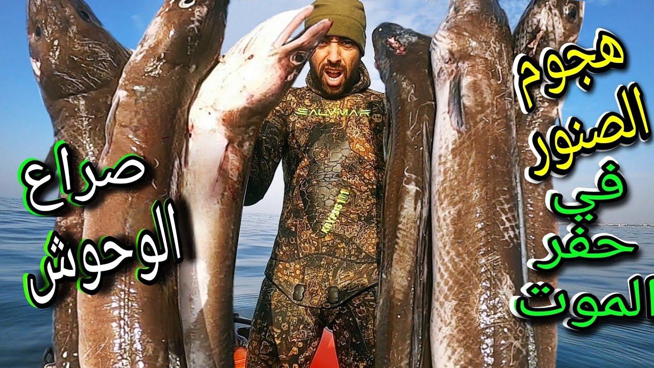 😱 Нападение мурены в тёмных норах 🔥 Подводная охота на одном дыхании
