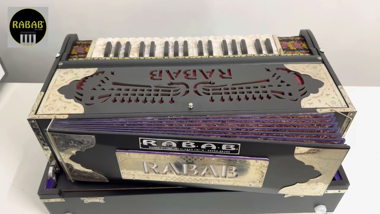 Rabab 3 Line 9 scal changer perimium qauilty M. +917589313913 cash on delivery #harmonium #music