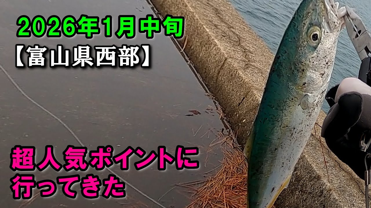富山県西部の超人気ポイントで釣りしてきた！ショアジギング、ショアジギ、青物、カマス、富山、釣り