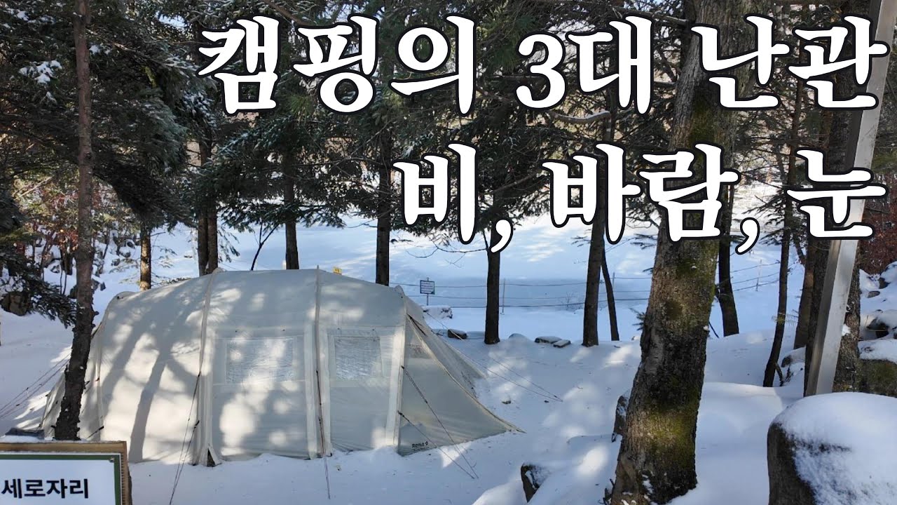 봄을 찾아 떠난 곳에 감성은 없었다..😢 ㅣ포천 도마치캠핑장ㅣ현실캠핑