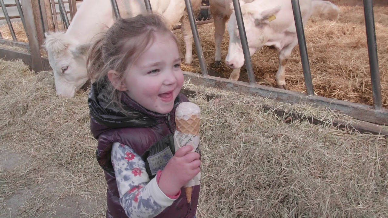 Sfeerimpressie open dag Boerderij van 't Zandeind 14-04-2019