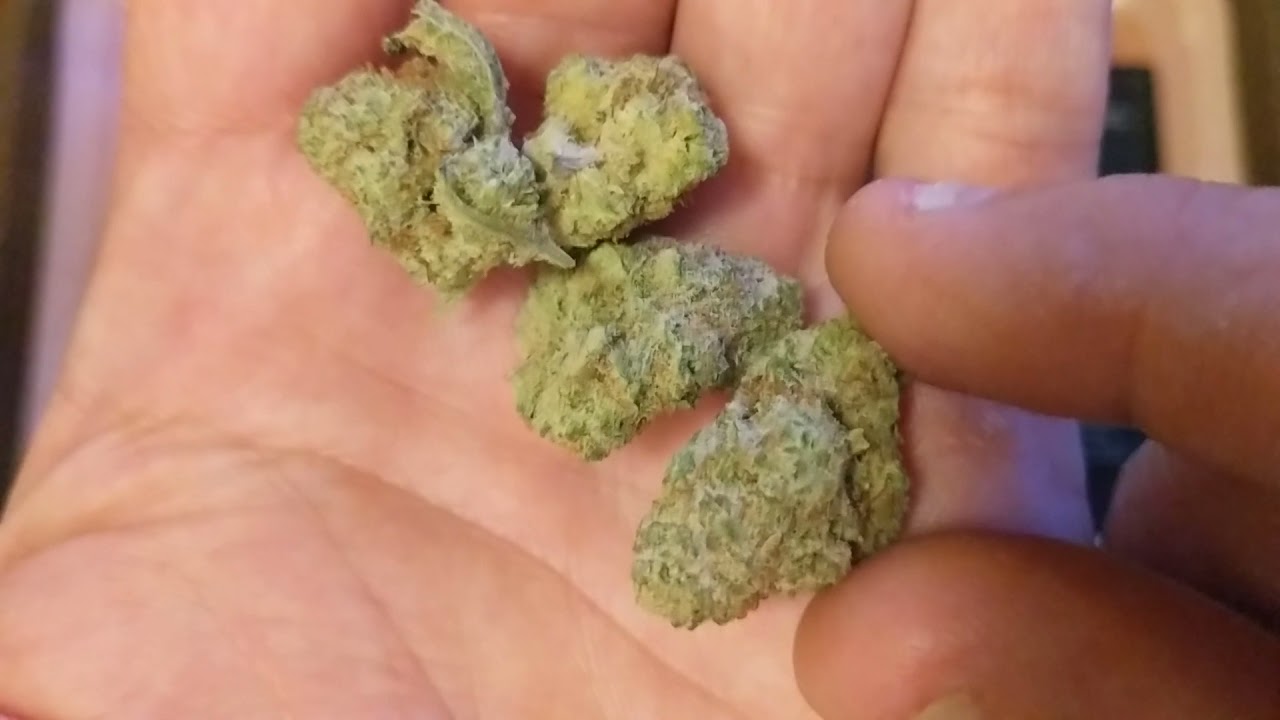 Grape God Bud 20% Trulieve Eustis