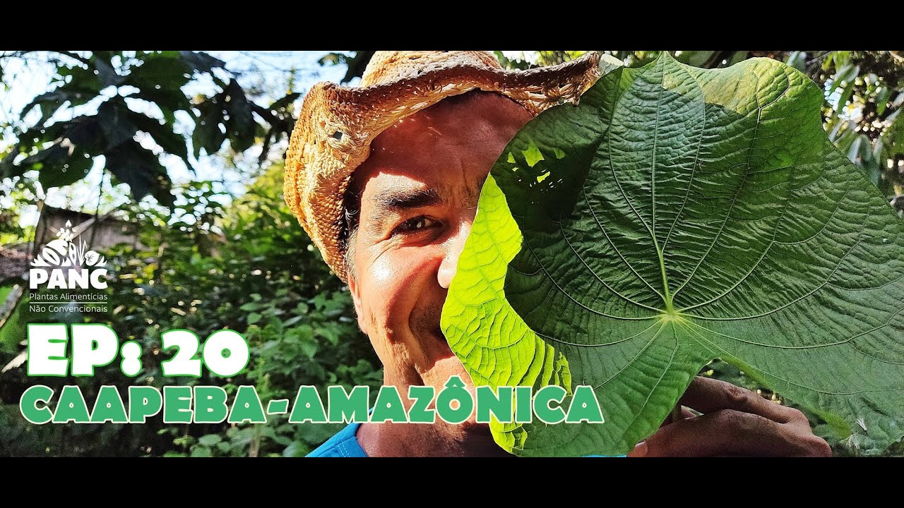 EPISÓDIO 20 - CAAPEBA-AMAZÔNICA | #pancnaveia #valdelykinupp