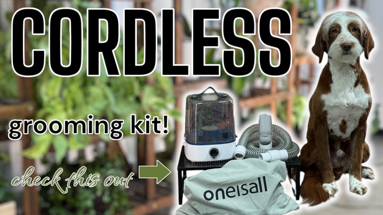CORDLESS Oneisall Pet Grooming Kit | Lets Groom Our Mini Goldendoodle!