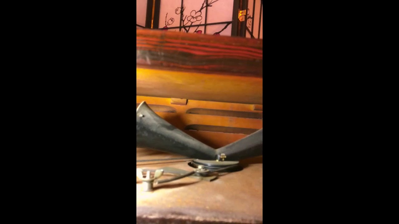 Leslie 122RV  Vintage Speaker, cable and Trek II pedal