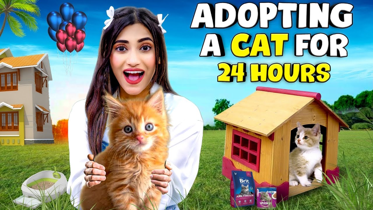Living With A CAT For 24 Hours Challenge 🐱| * gone wrong * 😭 | SAMREEN ALI