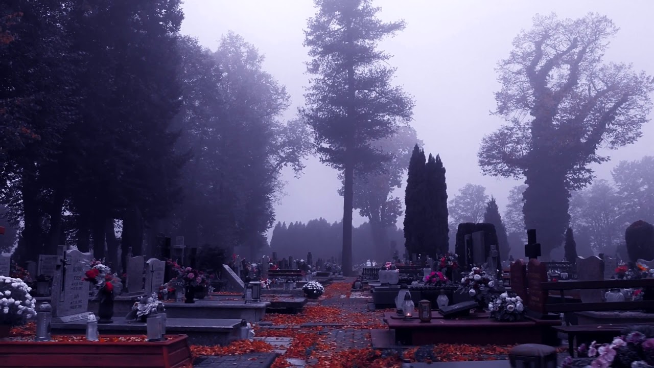 CEMETERY IN THE FOG | VIDEO HD | Free HD Video - no copyright