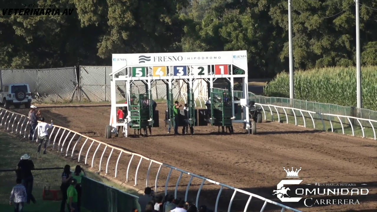 Cazador C. San Rafael/La Rata 🆚 Piloto C. Fresno