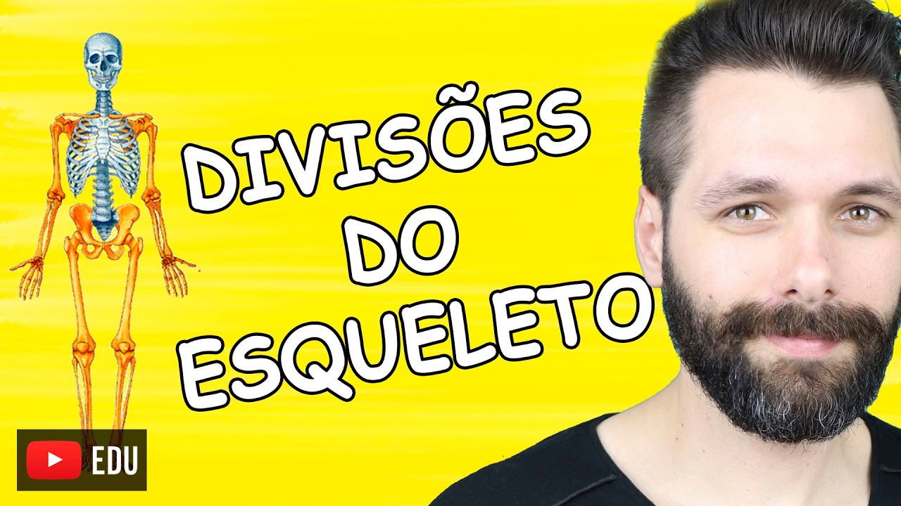 ESQUELETO AXIAL E APENDICULAR - Sistema Esquel&eacute;tico | Biologia com Samuel Cunha