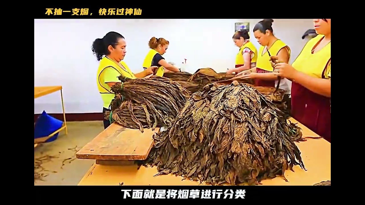 香烟的制作过程