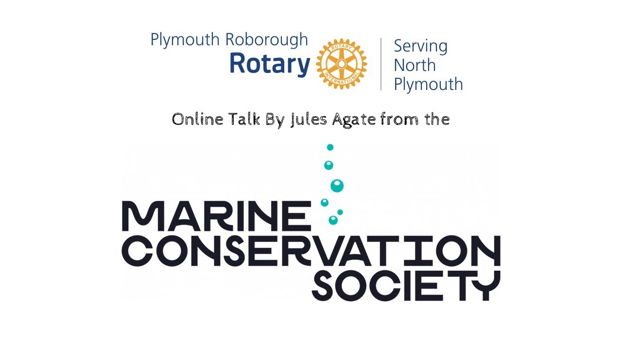 Marine Conservation Society talk to Plymouth Roborough Rotary