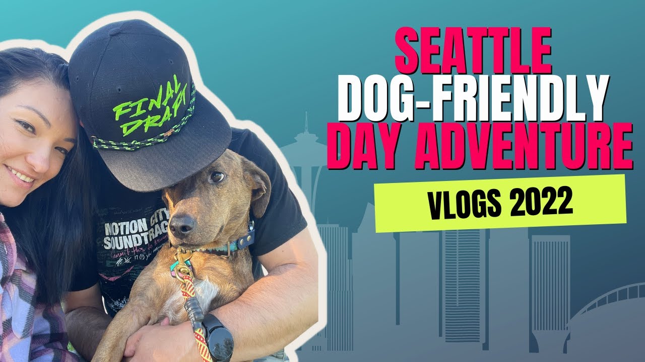 Seattle Dog Friendly Day Adventure