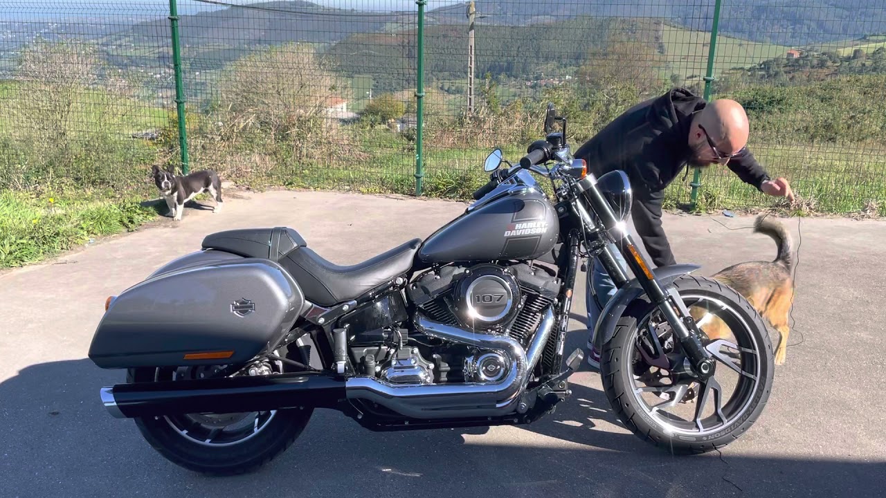 Harley davidson sport glide 2021 analisis, review