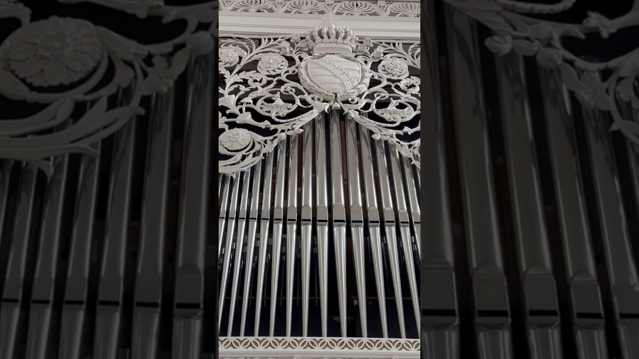 Johann Friedrich Schulze Orgel 1827, restauriert von Eule: Rastenberg, Th&uuml;ringen # 1 Shorts #konzert