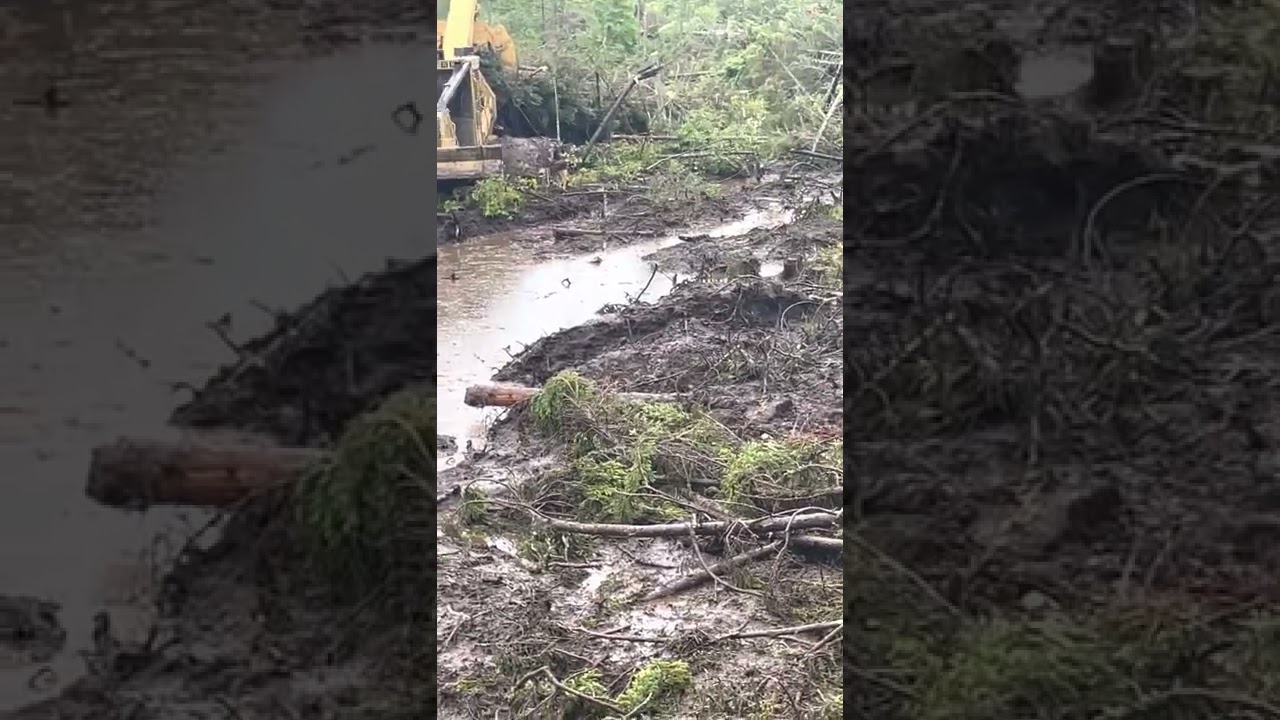 Tigercat 635H in very bad condition XTrême logging