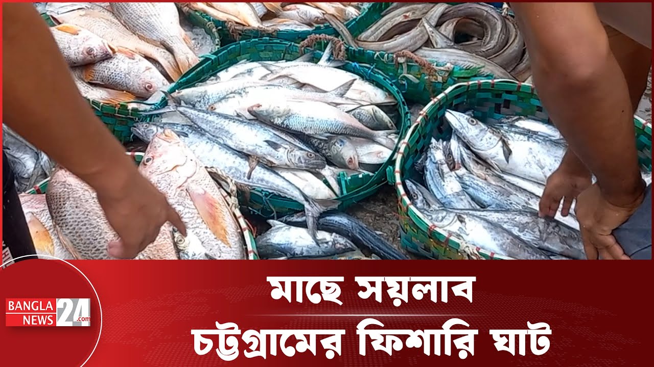 দেশের মাছ ব্যবসার প্রাণকেন্দ্র এই ফিশারি ঘাট | Fishery Ghat | Chattogram | Banglanews24