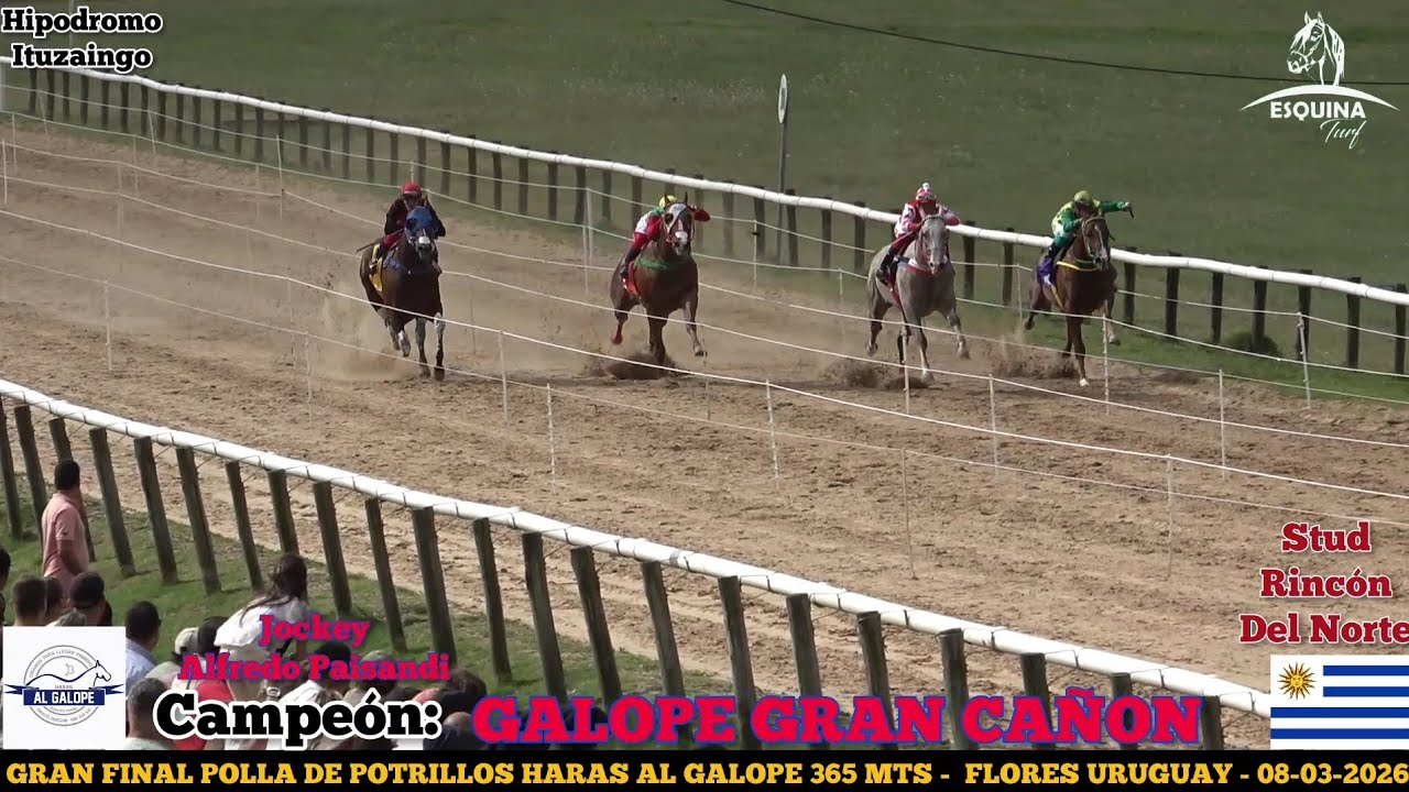 GALOPE GRAN CAÑON 