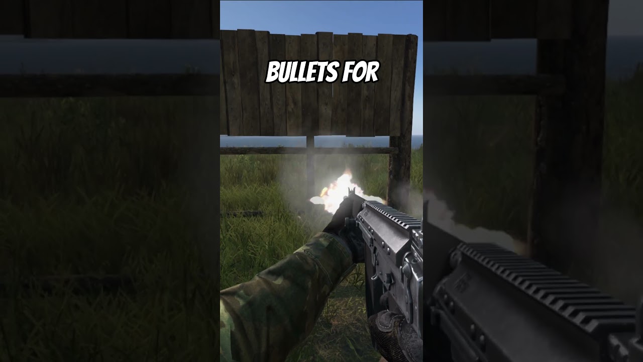 How much AMMO with the LAR in Dayz