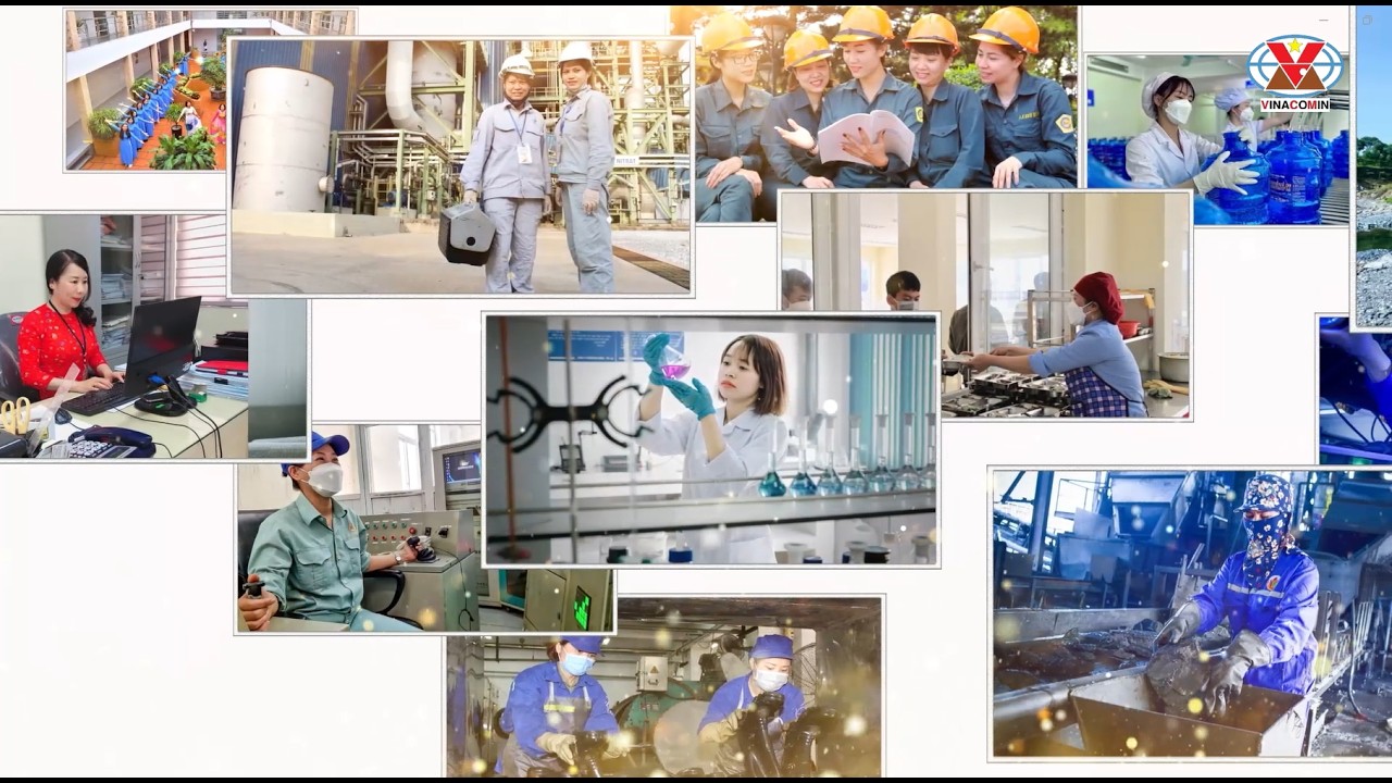 Phóng sự NHỮNG ĐÓA HOA THAN – LẶNG THẦM TỎA SÁNG