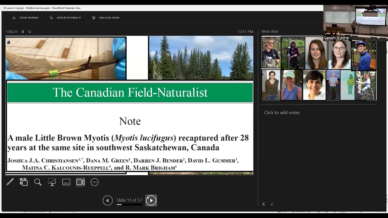 Thirty five + years of bat research in Cypress Hills, Saskatchewan