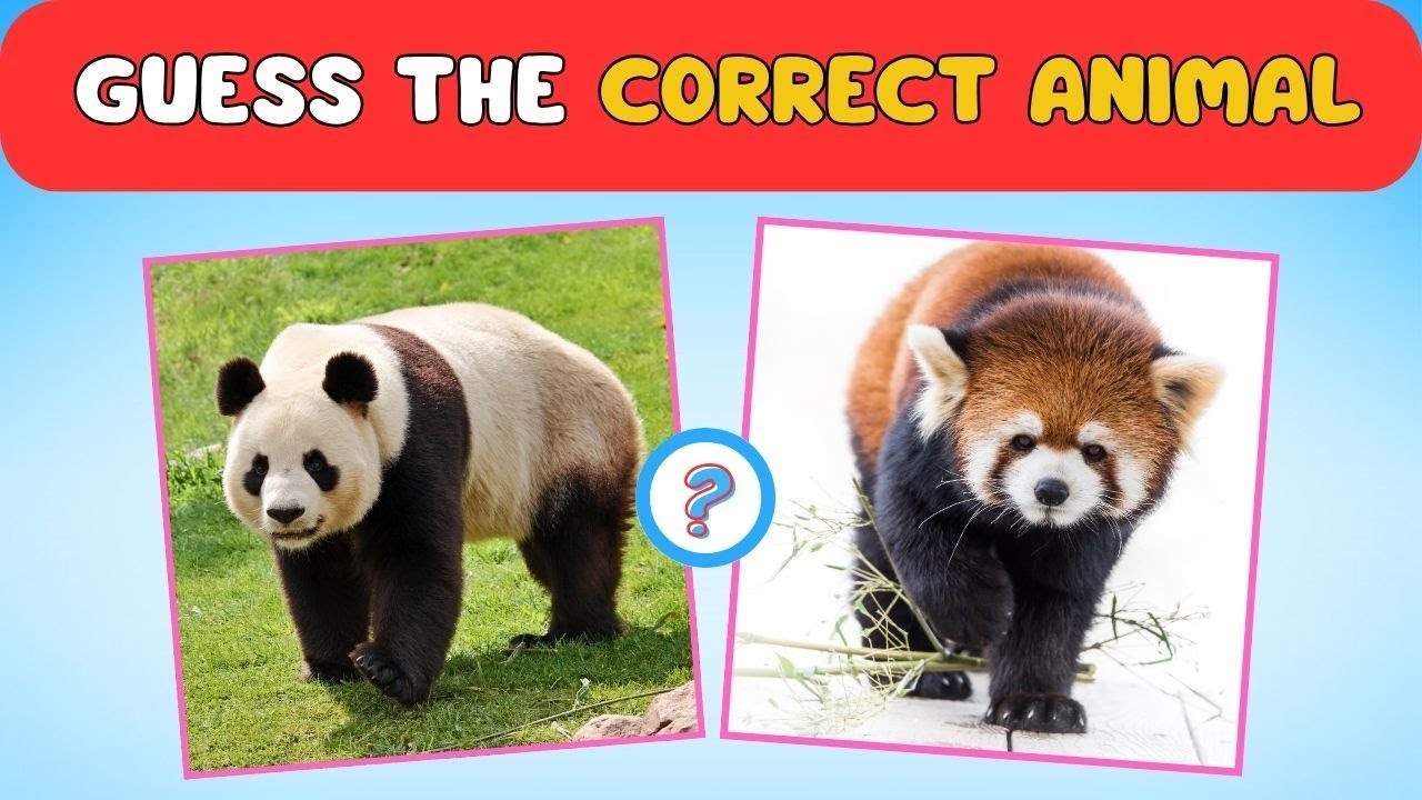 Guess the Correct Animal | QuizWhiz Channel