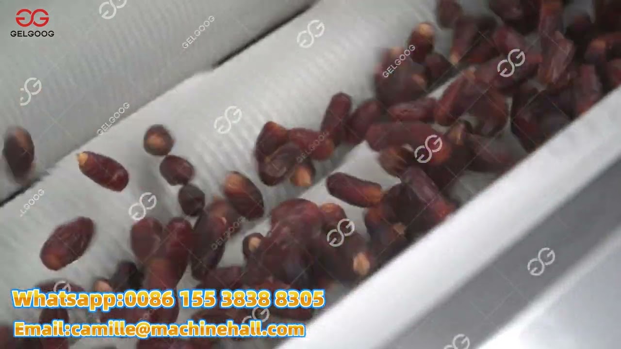 Automatic Dates Fruits Washing and Polishing Machine