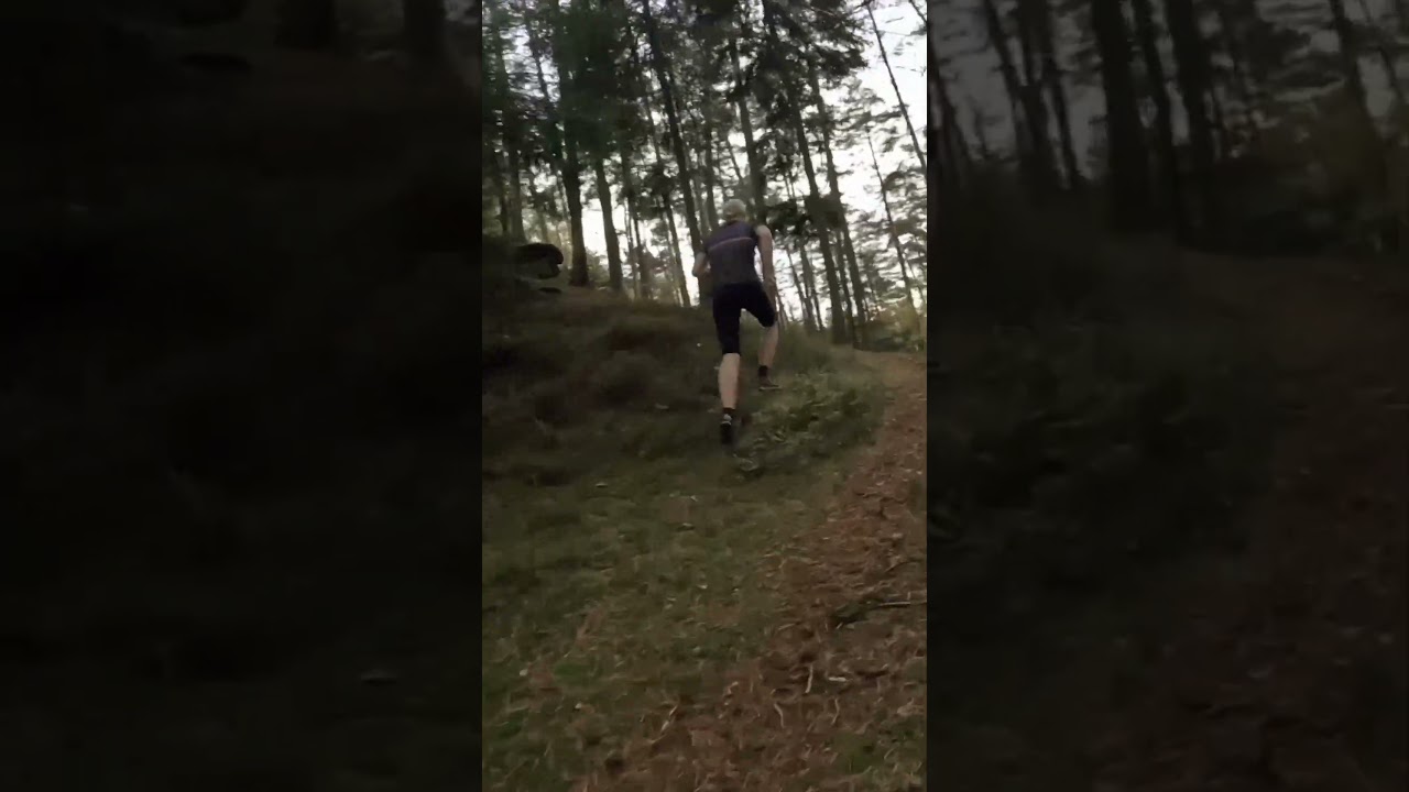 Forest Orienteering in Czech🇨🇿 #runningmotivation  #running #runningtips #orienteering