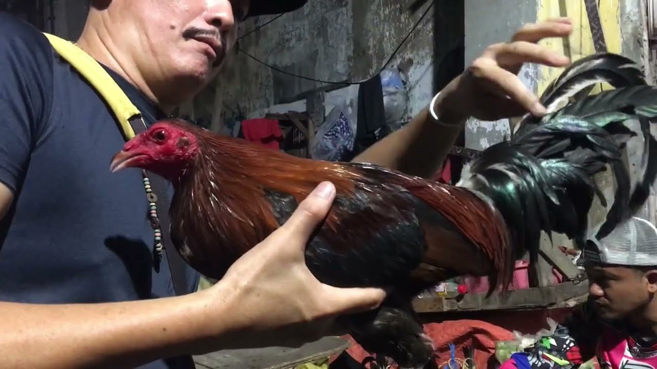 PUTO SEKWATE SA CARBON CEBU ANG SARAP