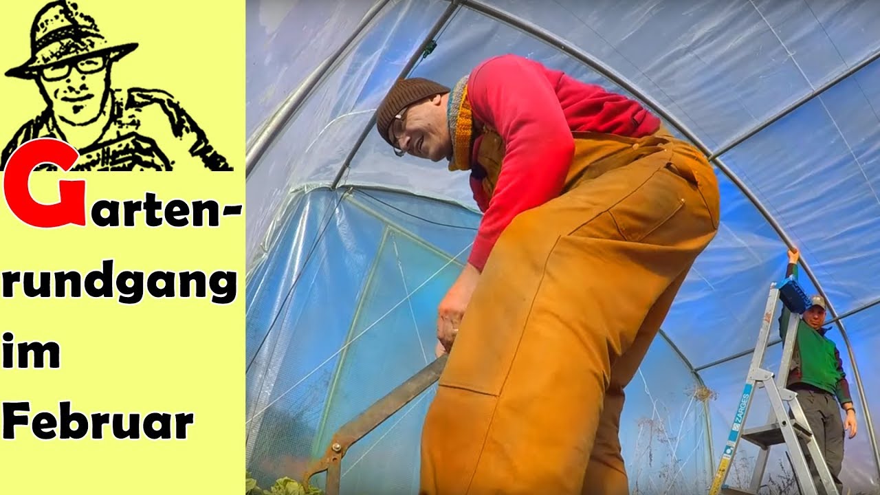 Gartenrundgang Februar: Hühner, Gewächshaus, Fanpost