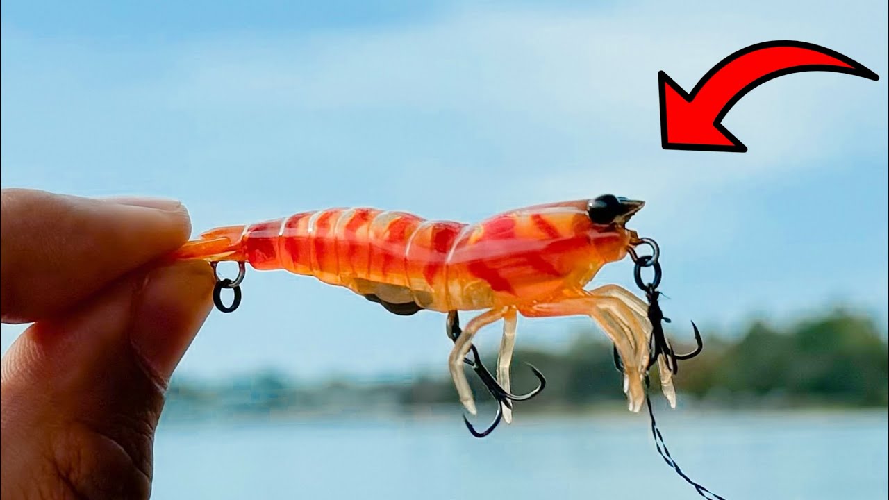 Is this new fishing lure the BEST Prawn imitation?