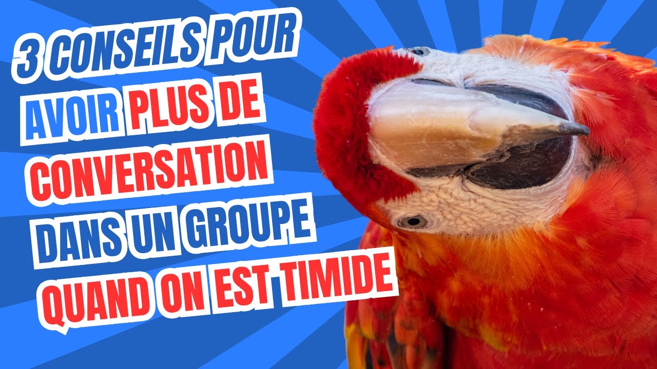 3 conseils pour avoir plus de conversation dans un groupe quand on est timide