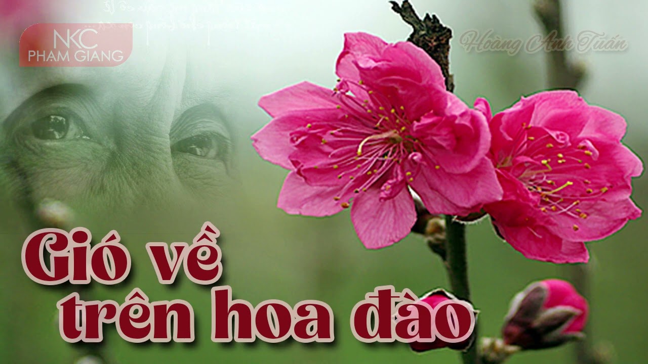 Gió về trên hoa đào | Hoàng Anh Tuấn