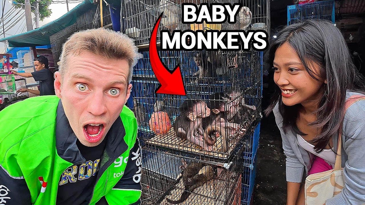 Inside an ILLEGAL Exotic Animal Market in Jakarta (Shocking!) 🇮🇩