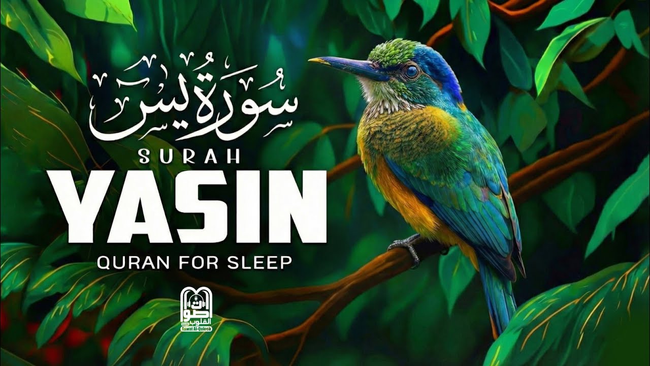 Surah Yaseen (سورة يس) Full HD Start Your Day with Recitation for Peacefully Protection & Blessings 