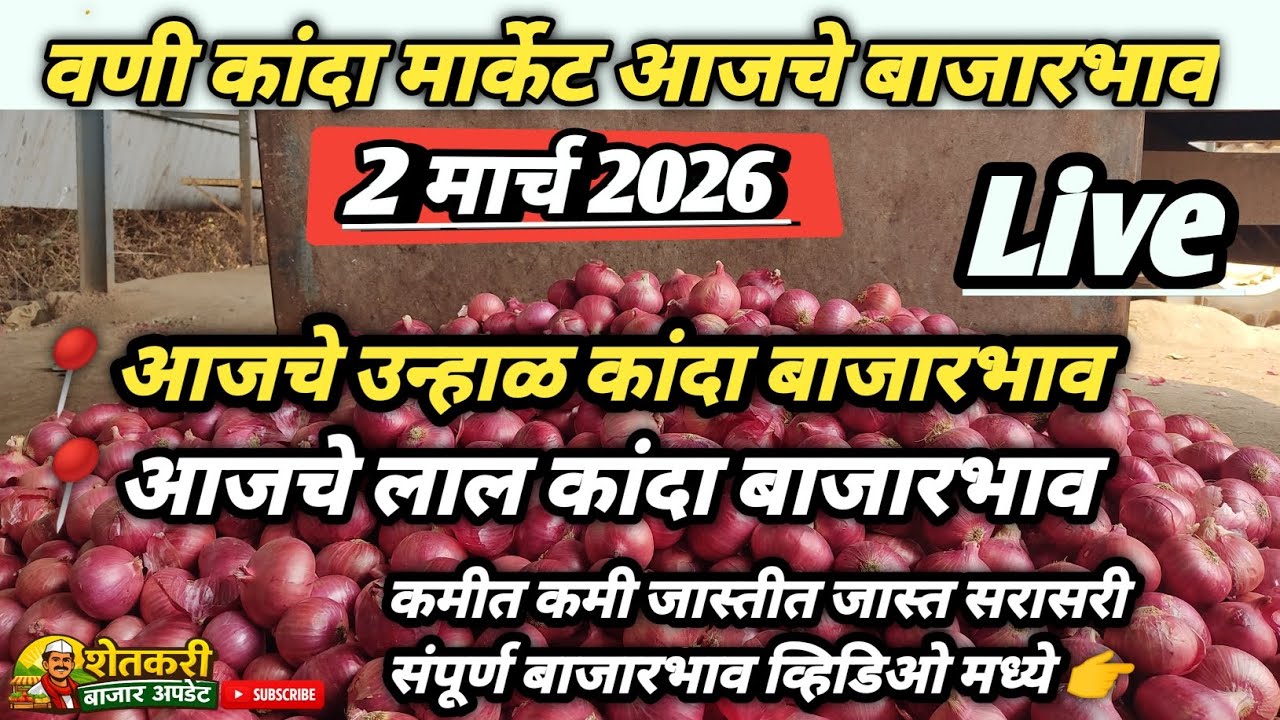 उन्हाळ व लाल कांदा बाजारभाव वणी कांदा मार्केट|vani kanda market bhav|🧅🧅#farmersupdate#kanda2/3/2026 