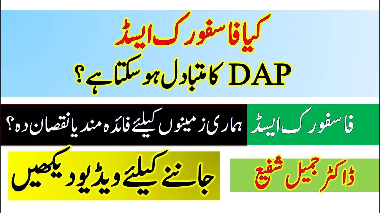 Phosphoric acid as alternative source of phosphorus to DAP, MAP, SSP and TSP | Dr. Jamil Shafi